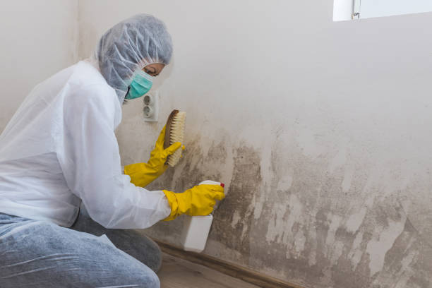 Best Emergency Mold Removal  in Sharpes, FL