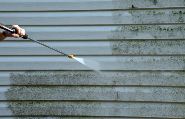 Best Office Mold Removal Services  in Sharpes, FL