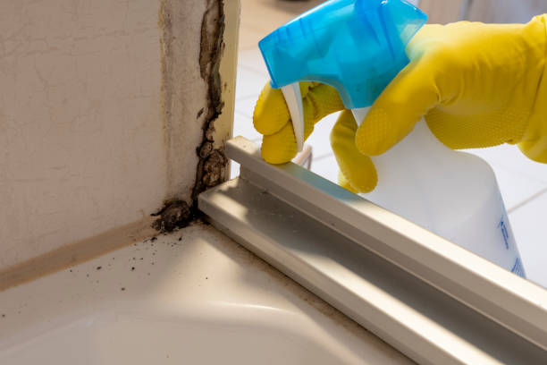 Best Mold Remediation Services  in Sharpes, FL