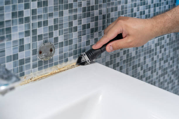 Best Professional Mold Removal  in Sharpes, FL