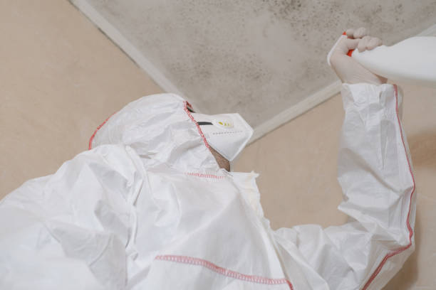 Best Attic Mold Removal  in Sharpes, FL
