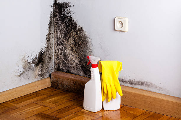 Best Residential Mold Removal  in Sharpes, FL